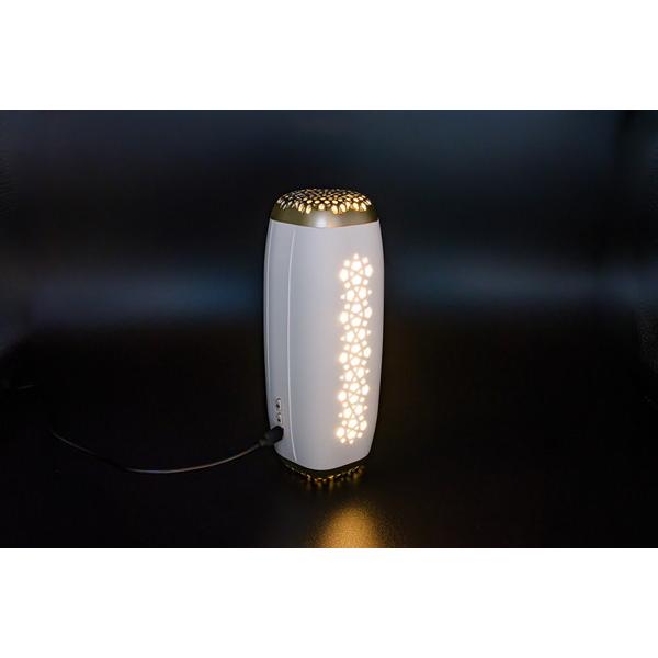 フジコー ウォームホワイト AkariAir（アカリア）  MC-P101-N/WT ［適用畳数：2畳］ |  | 05