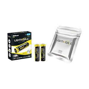 ライティンゲイルジャパン ライティンゲイル　単３形リチウムイオン充電池【２本組】マイクロＵＳＢ | 