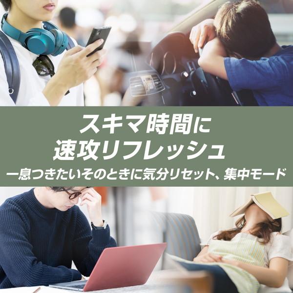 トランスペクト 目元ケア アイウォーマー Daylax（デイラックス） ピスタチオカラー |  | 05