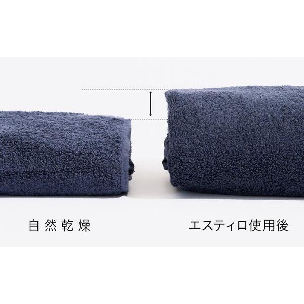 ESTILO コンパクト衣類乾燥機  ピュアホワイト ILD-321UWB-JP ［乾燥容量3.0kg /電気式(50Hz/60Hz共用)］ 【お届け日時指定不可】 |  | 09