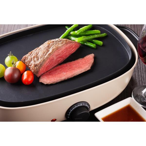 シィーネット リバーシブルホットプレート SHPM401BE ベージュ |  | 05