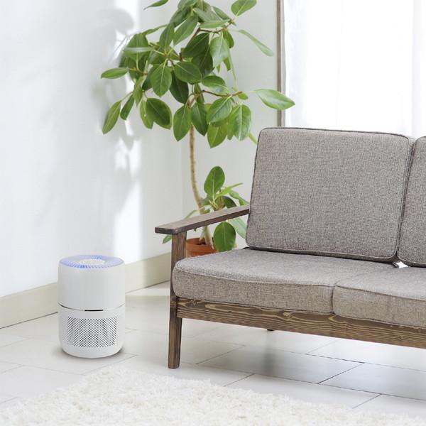 シィーネット 空気清浄機 ホワイト AAH201WH ［適用畳数：10畳