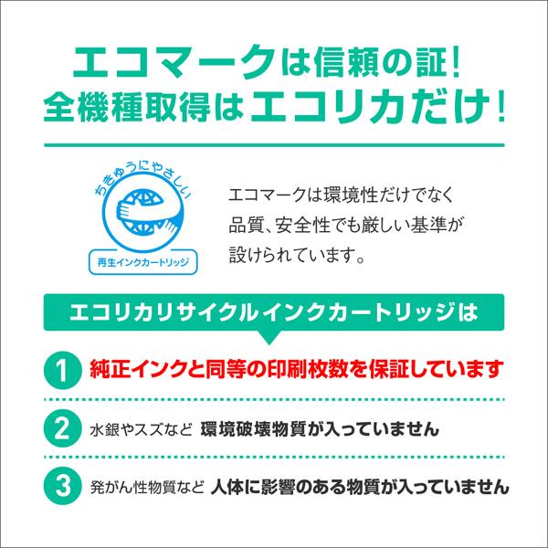 エコリカ ECI-RC41HB 互換リサイクルインクカートリッジ [リコー GC41KH] ブラック Lサイズ | エコリカ | 05