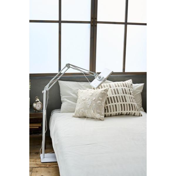 ハスラック Exideal Deux（エクスイディアル ドゥ）専用アームフロアスタンド Exideal（エクスイディアル）  EX-HA02-ST-N |  | 01