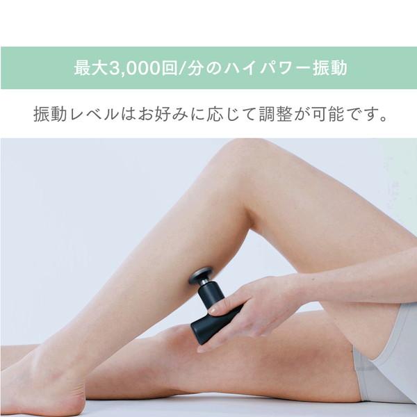 MYTREX コンパクトハンディガン マイトレックス リバイブエア MYTREX REBIVE AIR |  | 06