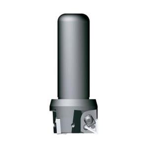 富士元工業 富士元 スカットカット シャンクφ20 加工径φ50 NK9050T-20 | 