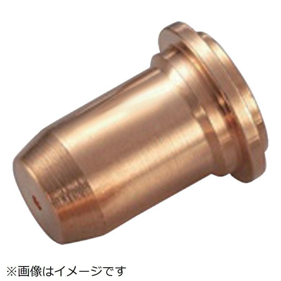 マイト マイト　チップ　（１０個入） | 