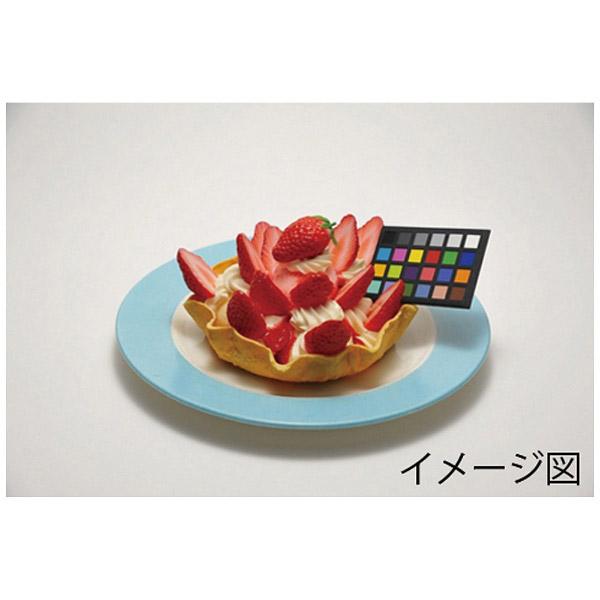 サンテック ケント紙 K1 ホワイト 5枚入 6634 | サンテック（カメラ） | 03