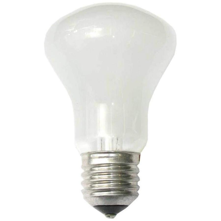 エリンクローム モデリングランプ100W 90V-120V E27（23006） | 