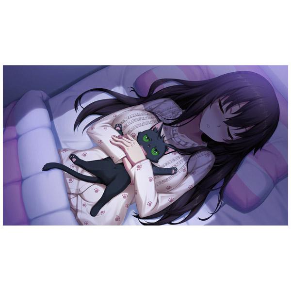 harukaze ノラと皇女と野良猫ハート HD プレミアム版 【PS4ゲーム