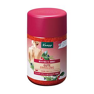 クナイプジャパン 【KNEIPP(クナイプ)】 グーテエアホールング バスソルト ウィンターグリーン＆ワコルダーの香り 850g〔入浴剤〕 | 
