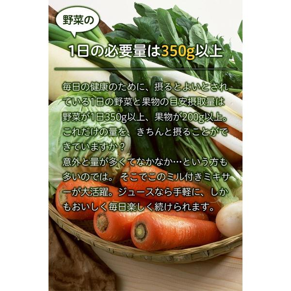 SIROCA siroca ミル付ミキサー （800ml）　SJM-180G シルバー 【864】 | siroca | 02