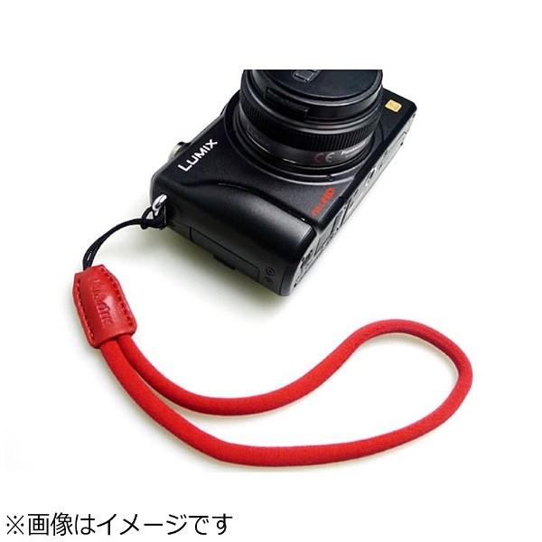 GARIZ DD-WSP2 レッド | GARIZ | 01