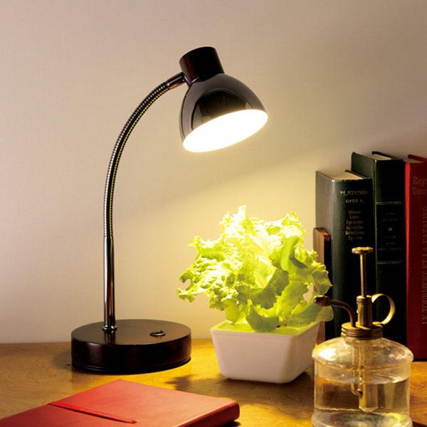 オリンピア LEDテーブルランプ(木製ダークブラウン) |  | 03