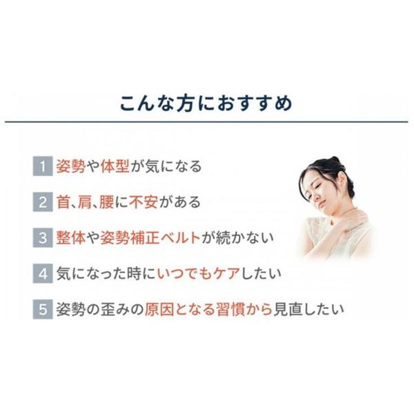 クレオテクノロジー ネトレスリムチェアNEO TO ZERO  E-EM005RR |  | 10