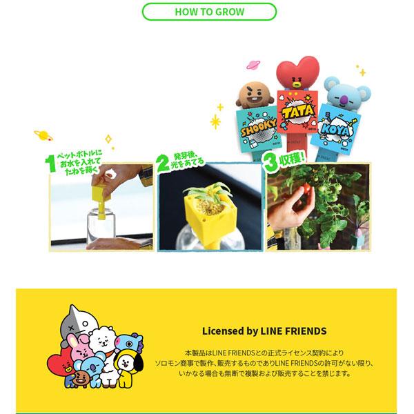 ソロモン商事 栽培キット GREEN TOY グリーントイ BT21 COOKY 【852】 [振込不可] |  | 06