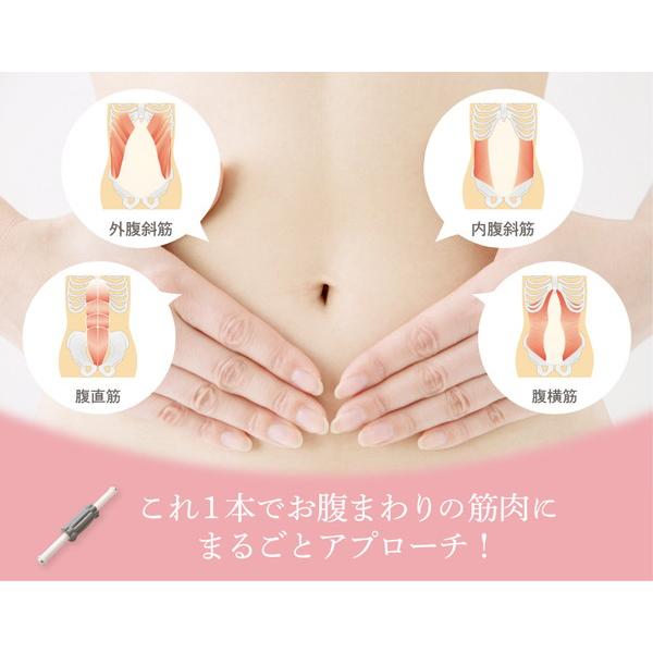 SMILECREATEGROUP マルチリフトローラー IGHT003 |  | 02