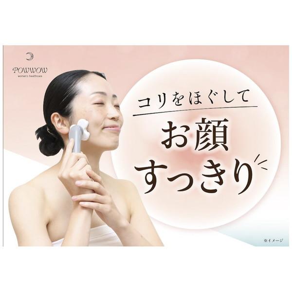 SMILECREATEGROUP ヘルシーフェイスローラー IGHT004 |  | 01