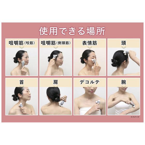 SMILECREATEGROUP ヘルシーフェイスローラー IGHT004 |  | 03