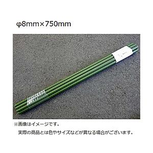シンセイ イボ竹支柱 10本入り 8×750 | 