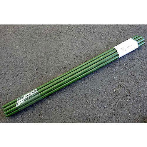 シンセイ イボ竹支柱 10本入り 8×750 |  | 01