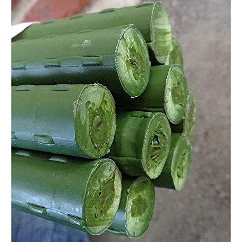 シンセイ イボ竹支柱 10本入り 8×750 |  | 03