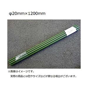 シンセイ イボ竹支柱 10本入り 20×1200 | 