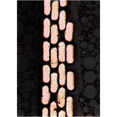 AKGPRO ヘッドホン  ブラック K712 PRO-Y3 ［φ3.5mm ミニプラグ］ |  | 04