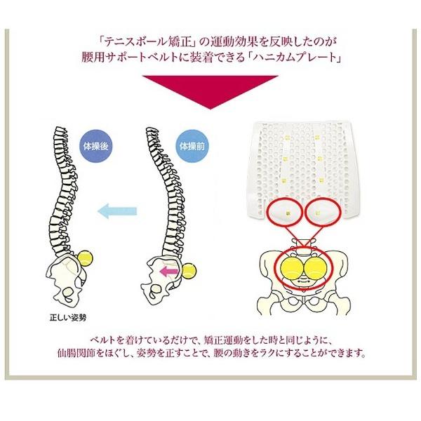 ヴァルテックス 腰用サポートベルト-S酒井慎太郎監修 |  | 02