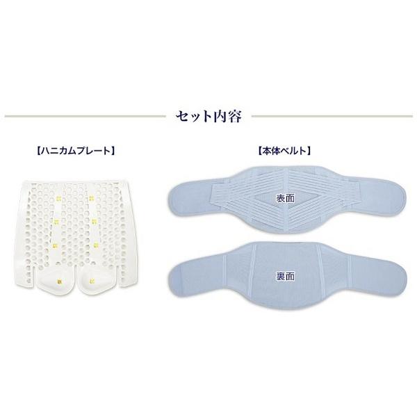 ヴァルテックス 腰用サポートベルト-S酒井慎太郎監修 |  | 03