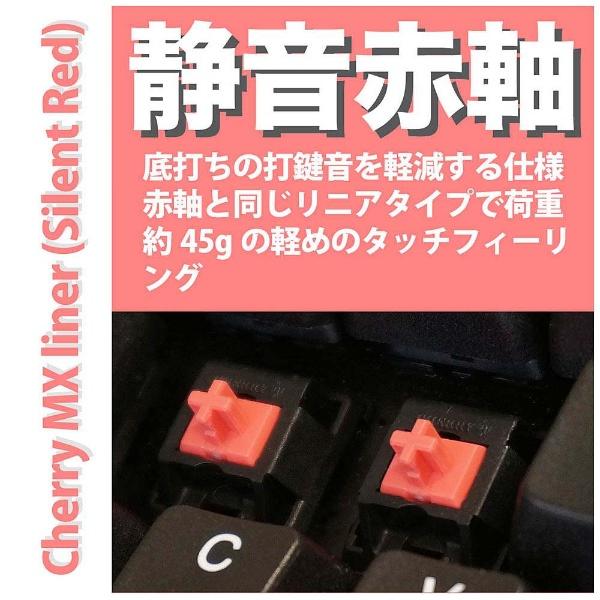 ARCHISS AS-KBPD91/SRBKN　有線テンキーレスメカニカルキーボード ARCHISS ProgresTouch TKL [日本語91キー・二色成形・PS/2＆USB・CHERRY静音赤軸] |  | 01