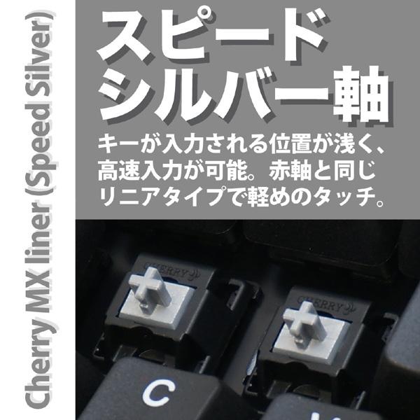 ARCHISS ARCHISS ProgresTouch RETRO TKL メカニカルテンキーレスキーボード [日本語配列・91キー・スピードシルバー軸] AS-KBPD91/LSBKN |  | 04