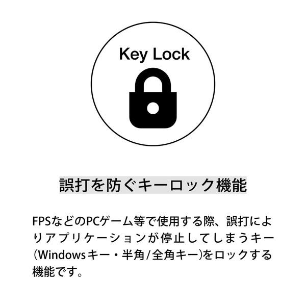 ARCHISS キーボード Maestro TKL(スピードシルバー軸)(Mac/Windows11対応)  AS-KBM91/LSGBA ［有線 /USB］ |  | 13