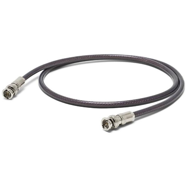 オヤイデ電気 デジタルケーブル　AS808BV20.6（0.6m） 【受発注・受注生産商品】 | オーディオテクニカ | 01