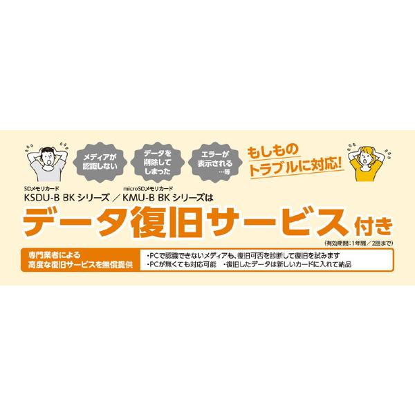 KIOXIA 【復旧サービス付き】SDXC 連続撮影・4K録画対応SDカード EXCERIA（エクセリア）  KSDU-B001TBK ［Class10 /1TB］ 【864】 |  | 06