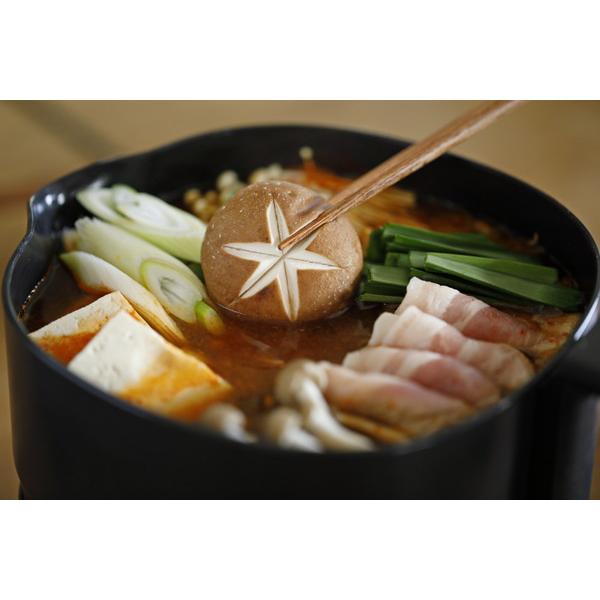 SIROCA おりょうりケトル ちょいなべ ブラック SK-M251(K) ［1.0L］ | siroca | 13