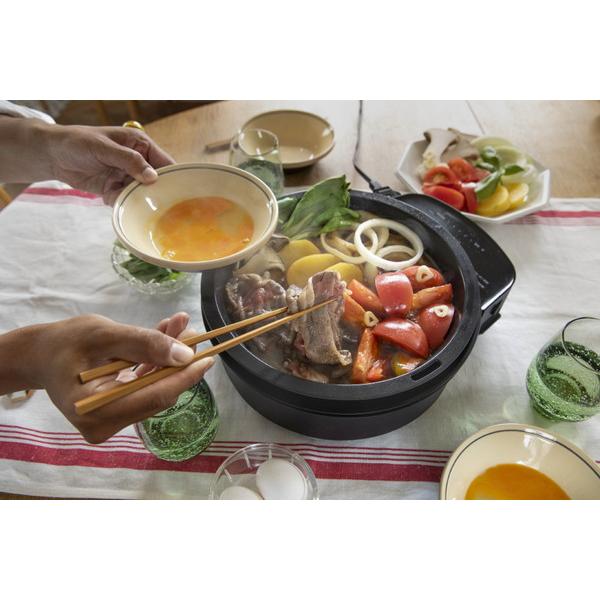 SIROCA おうちいろり SQ-D151(K) [プレート3枚] | siroca | 14