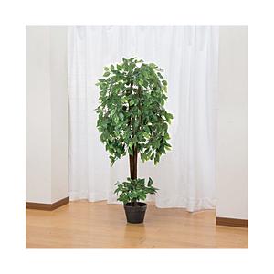 ファミリー・ライフ インテリアグリーン ベンジャミン   04220 | 