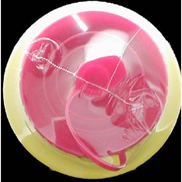 アース製薬 虫コロリアース(粉剤) 550g | アース製薬 | 02