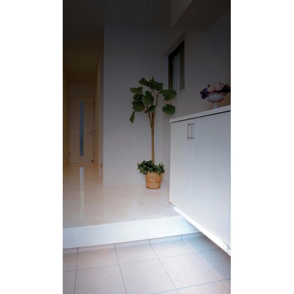 ELPA LED多目的灯　明暗人感タイプ　昼光色　ALT-2060PIR(D) | ELPA | 04