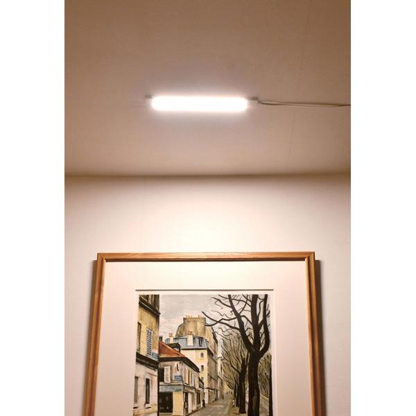 ELPA LED多目的灯　リモコンタイプ　電球色　ALT-2030RE(L) | ELPA | 04