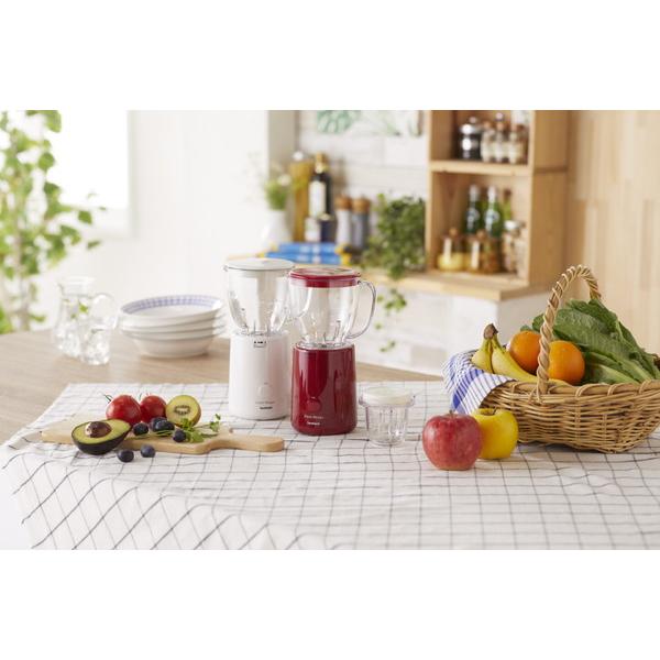 岩谷産業 フレッシュミルサー ディープレッド IFM-FR22-R |  | 04