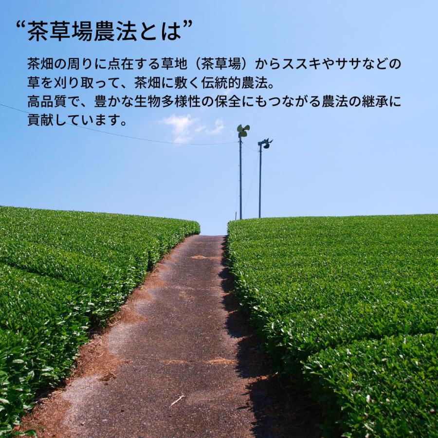 UCC上島珈琲 UCC ドリップポッド DRIP POD 静岡まろみ焙じ茶 12P   DPRT002 |  | 04