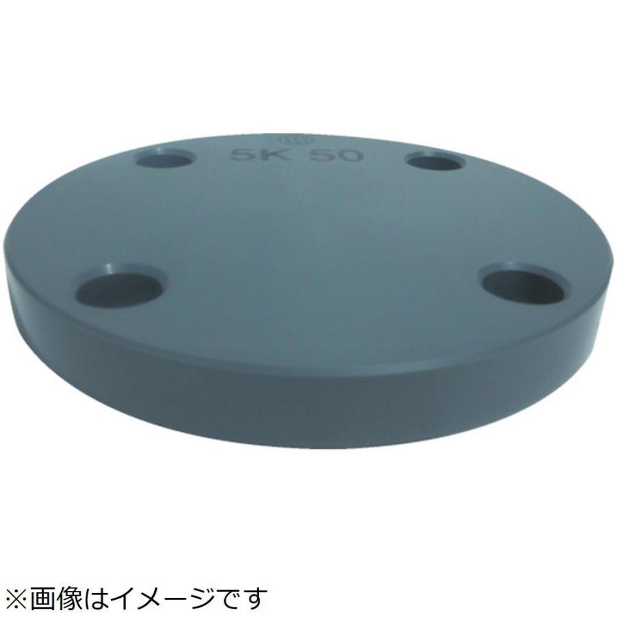 積水化学工業 エスロン　板フランジＳＢ型　２５　ＪＩＳ５Ｋ　ＰＶＣ | 