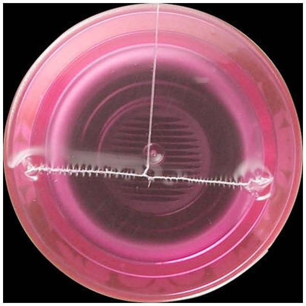 ファイントゥデイ資生堂 MACHERIE(マシェリ)ヘアフレグランス EX(100g) |  | 02