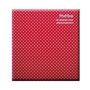 Nakabayashi Digioデジタルフリーアルバム「プラフィーネ」（デミサイズ／レッド） ア-DP-144-R | ナカバヤシ