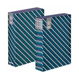 Nakabayashi 5冊組ソフトボックスアルバム シンプル柄 ストライプ （ブルー）5PL-270-33-B | ナカバヤシ