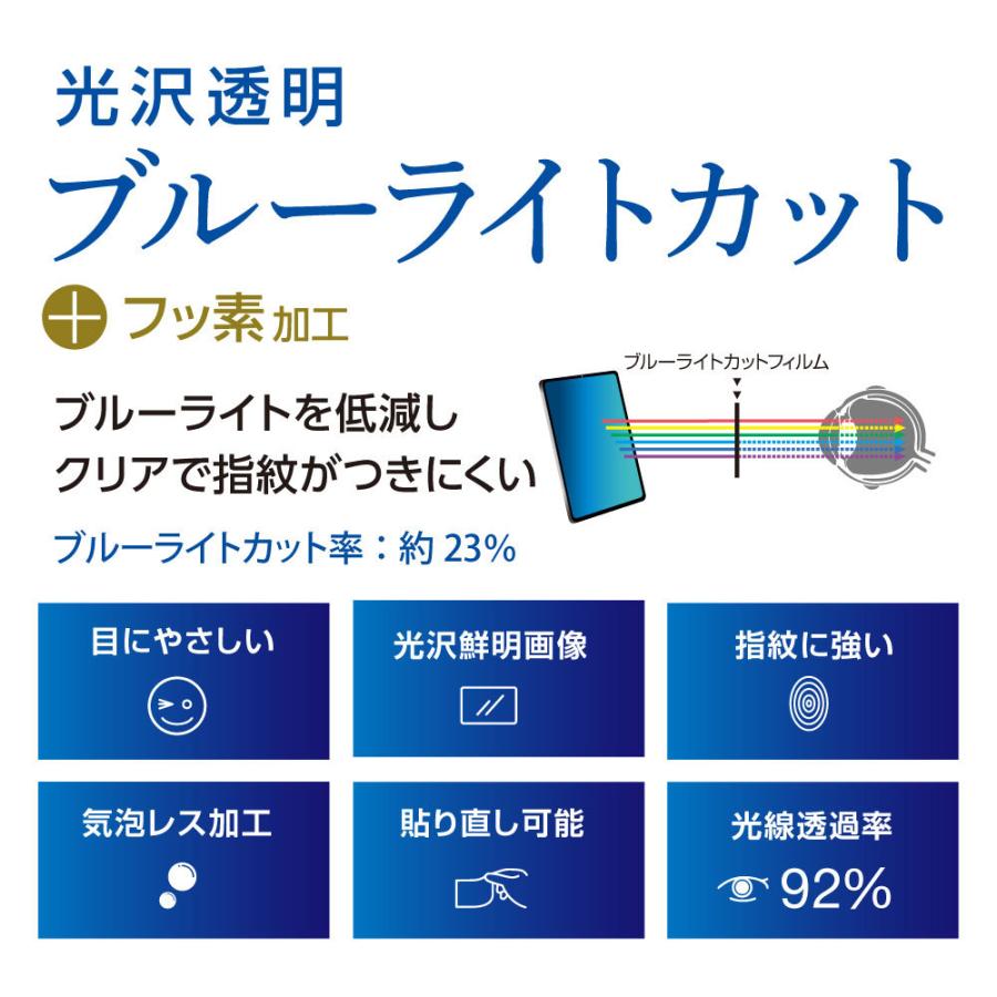 Nakabayashi 10.2インチ iPad（第8/7世代）用　ブルーライトカットフィルム 光沢透明   TBF-IP20FLKBC-G | ナカバヤシ | 02
