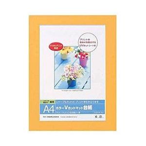 Nakabayashi Ｖカットマット台紙 Digio （A4/オレンジ） DGVM-A4-O | ナカバヤシ