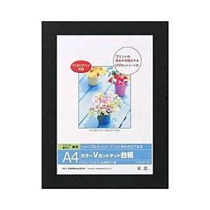 Nakabayashi Vカットマット台紙 Digio （A4/ブラック） DGVM-A4-D | ナカバヤシ